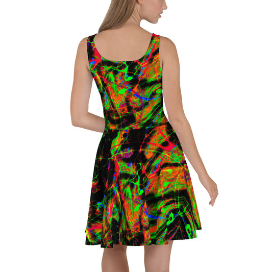 90s Vibe Skater Dress