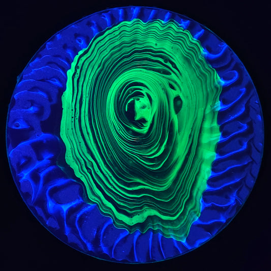8 in. Circle Neon Tree Ring Pour Painting